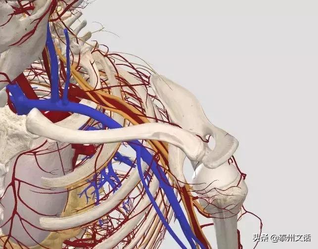 筋膜枪是什么,筋膜枪推荐排行榜前十名