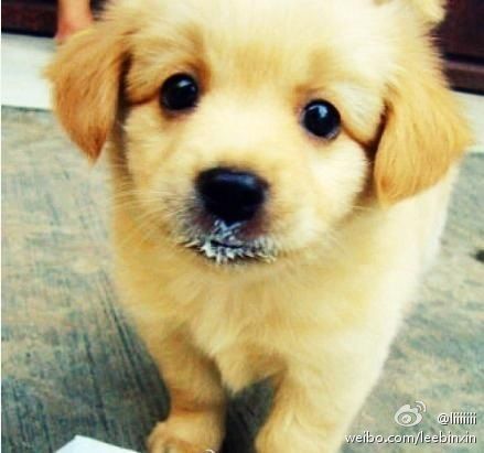 怎么买保险不会被坑,买保险如果被坑怎么办