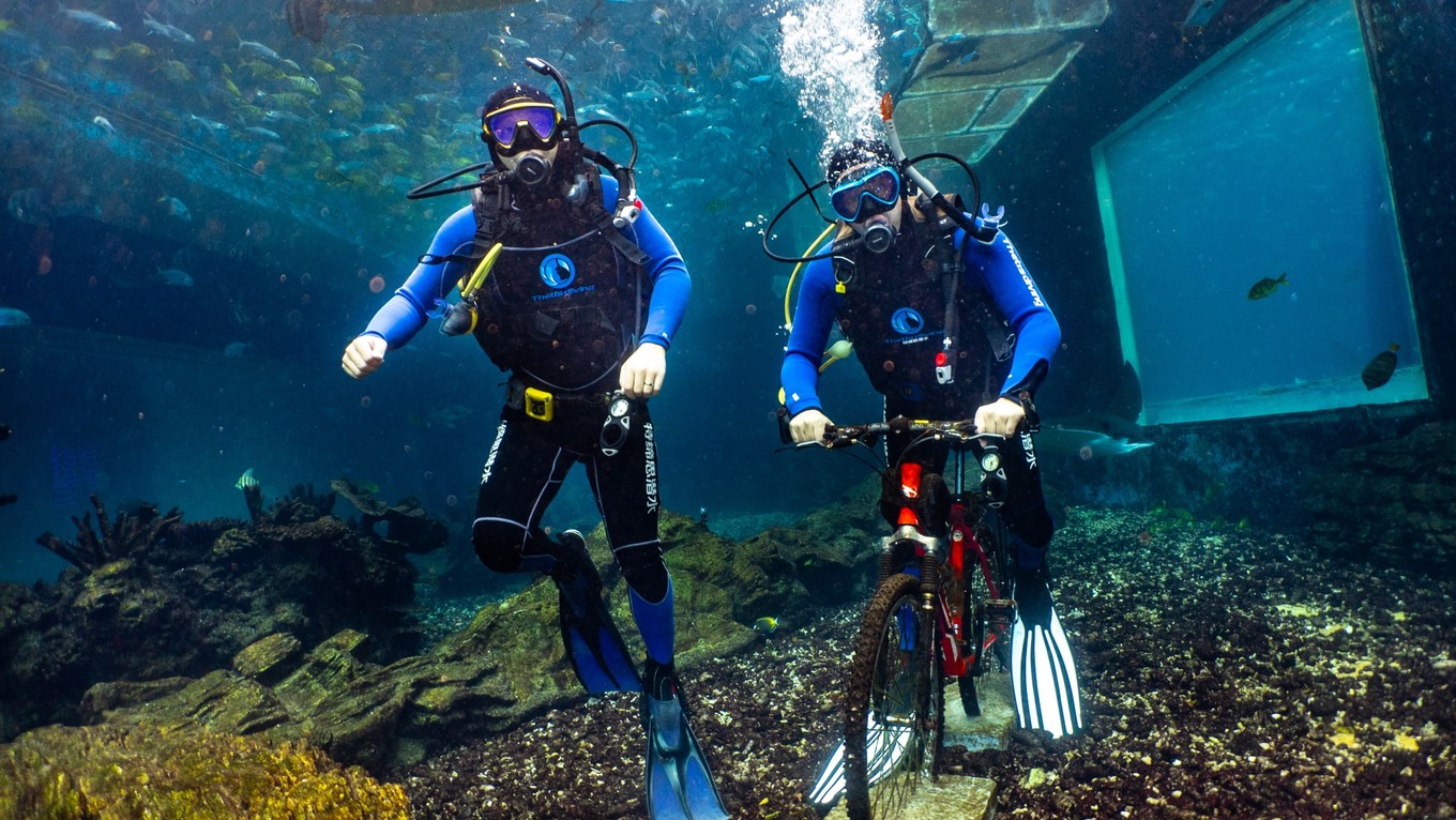 三亚学潜水机构推荐,三亚学潜水哪个最专业
