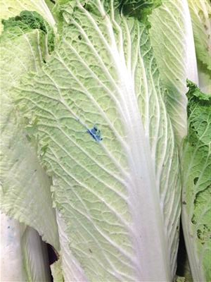 蔬菜上蓝色农药残留是啥,青菜叶上有蓝色东西是农药残留吗