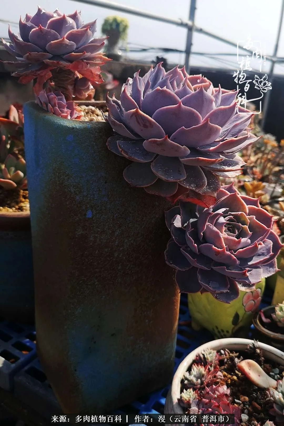 风过留痕讲的啥,风过留痕朗诵