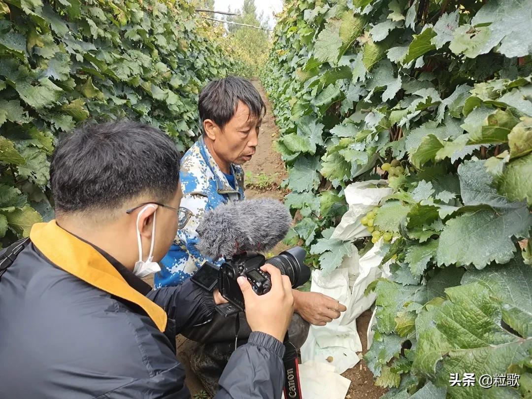 住商中农肥料怎么样,住商肥料助力精品农业