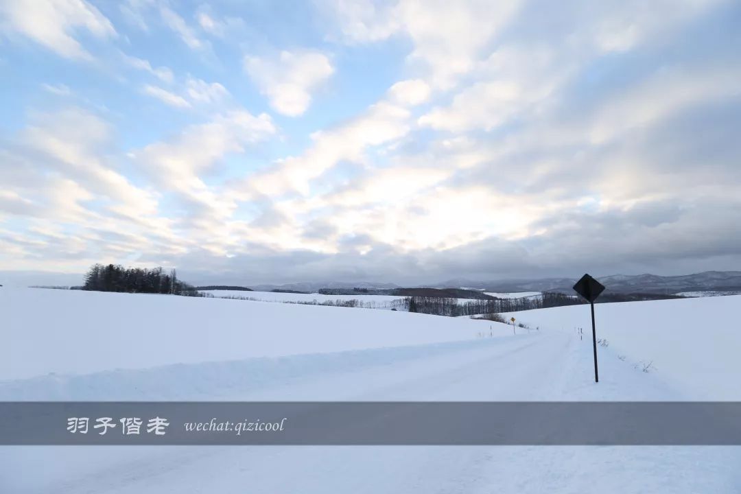 老实说，这一趟北海道就是为了拍好看的照片去的