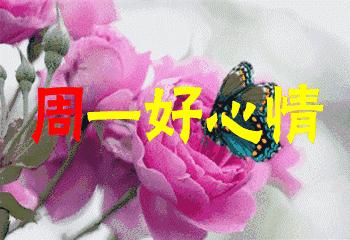 周一早上好最新图片祝福语,周一早上好图片早安问候语