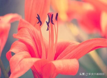 经典微信说说语句心情短语,微信说说句子大全简短唯美