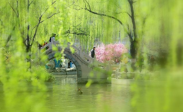 诗词春韵经典诵读,诗词春望古诗