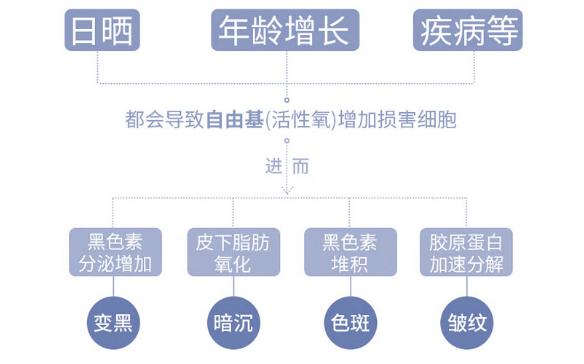 *麻大**CBD护肤品到底是不是*局骗**？