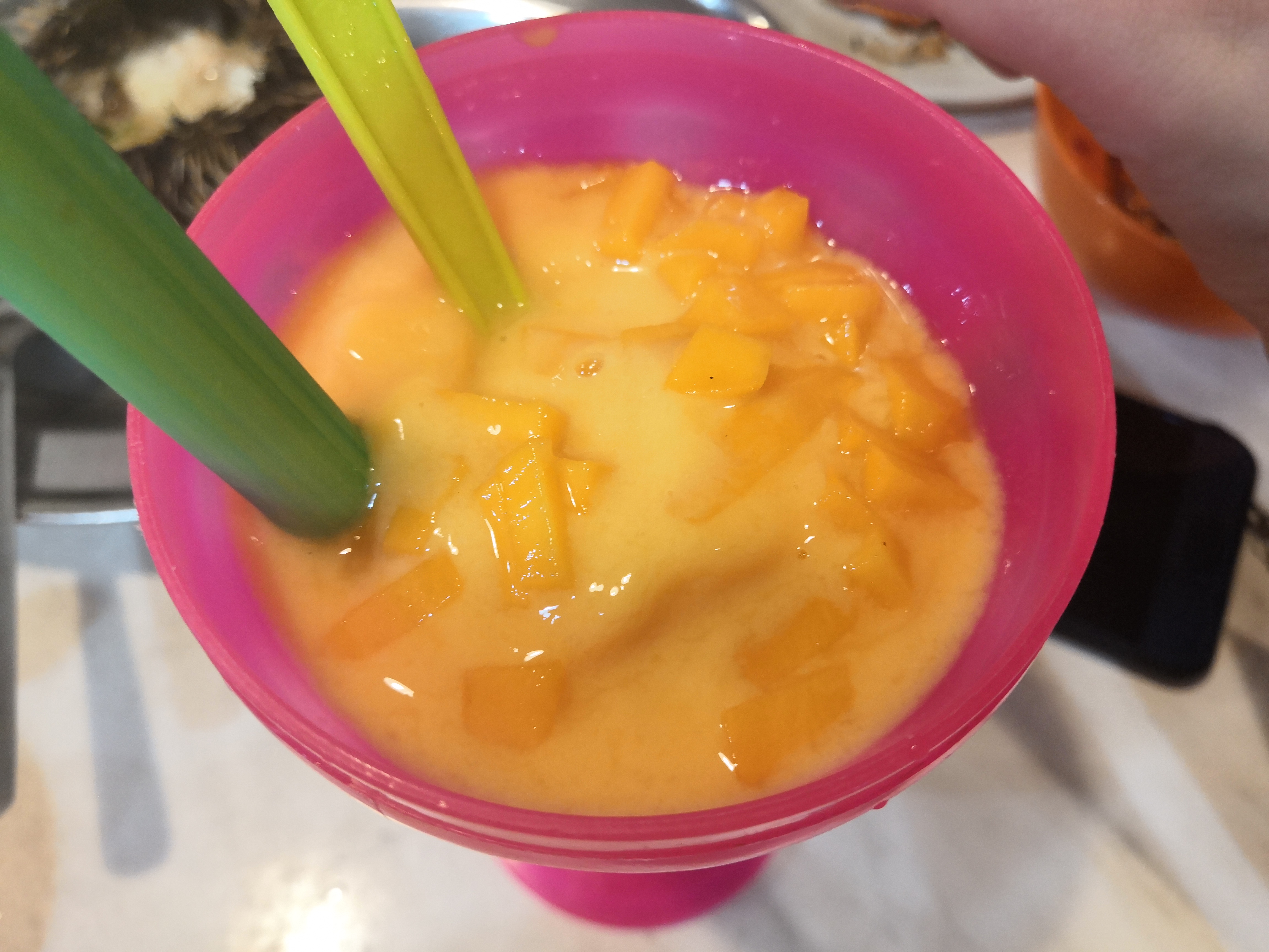 2018马来西亚之旅留影,2019回眸