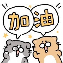 阳光问政现场直播珙县,宜宾阳光问政直播珙县