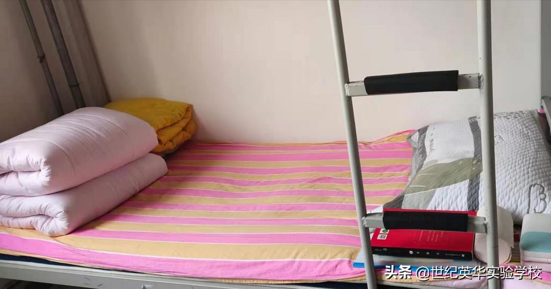 学会自律不负韶华读后感,严于律己宽以待人不负韶华