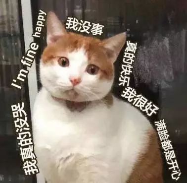 从深圳去香港最划算攻略,深圳第一次去香港的超强攻略