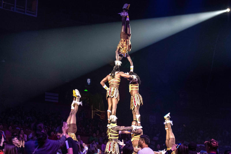 玩转广州长隆野生动物世界之行,广州长隆动物世界游玩攻略图