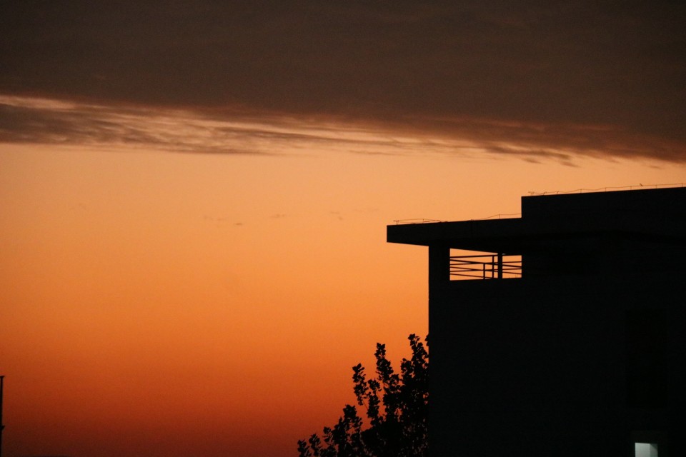 沐春简历,沐春大学