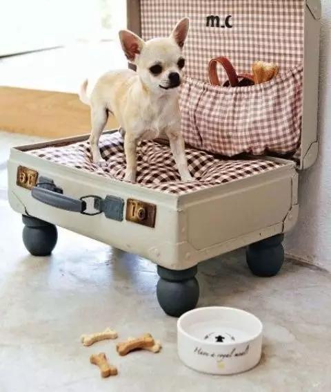 自制宠物狗窝简单,旧衣服怎么给狗狗做个窝