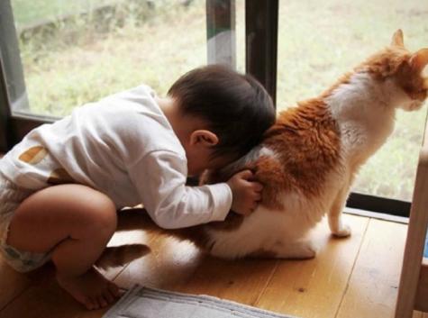 猫咪喜欢用屁股对着你啥意思,猫咪总喜欢拿屁股对着我