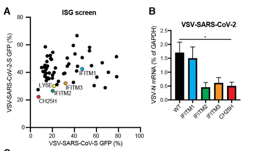 中医科学院任丽丽,任丽丽