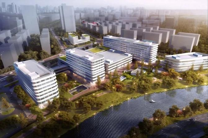 浙江第一家三甲医院,浙江将新增一所双一流大学