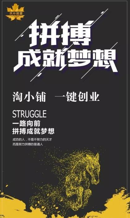 淘小铺供应链经营模式,对淘小铺的认知