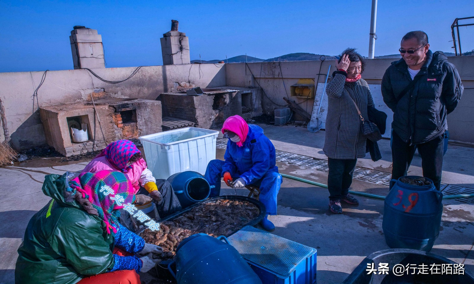 海参崴的渔业资源：挨枪子也要非法捕捞，一次利润数万元