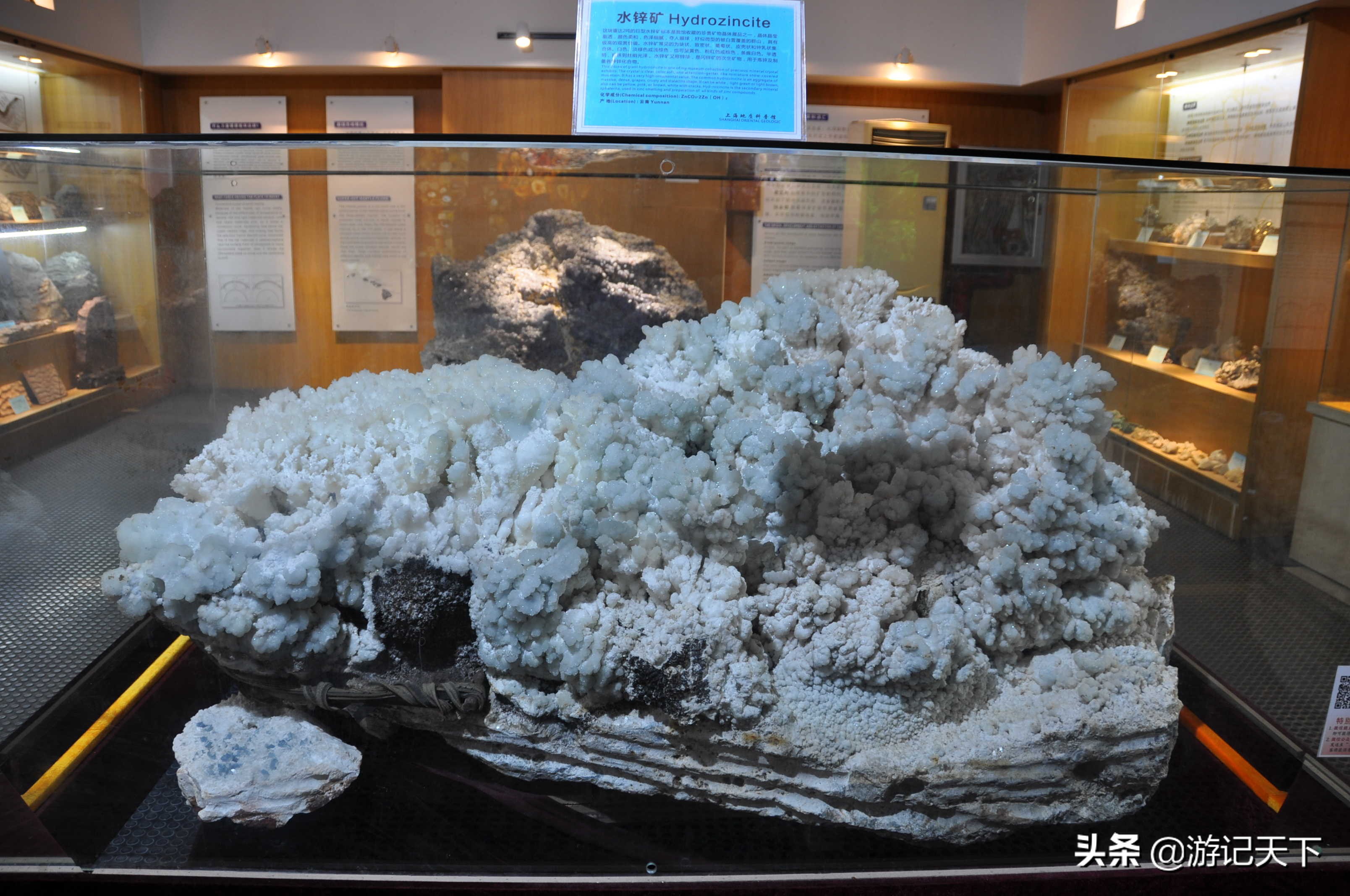 阿尼亚参观博物馆,上海地质科普馆游玩