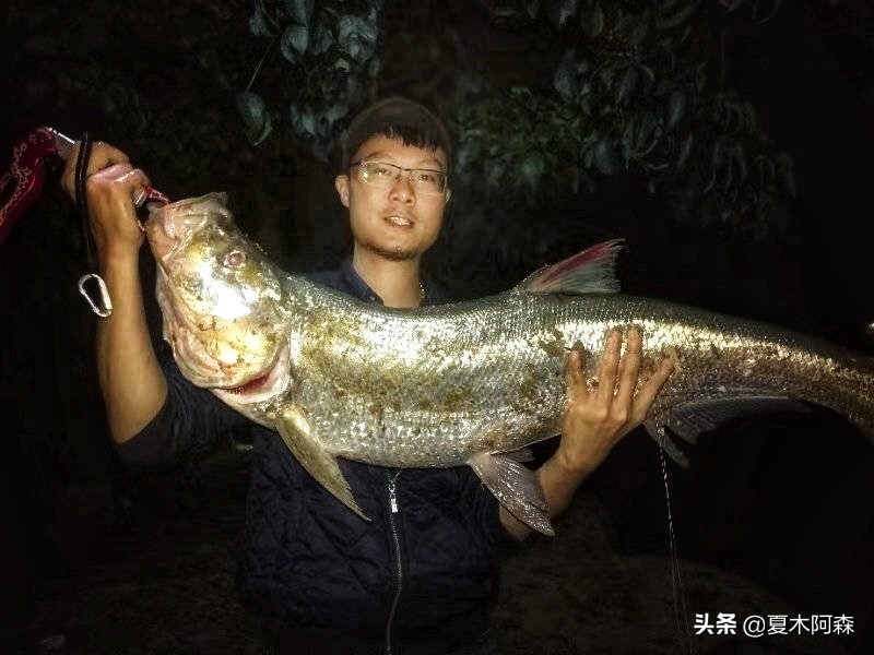 路亚饵控饵手法,掌握四种钓法