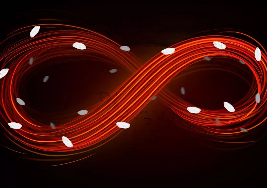 别再从日本背饭煲了！中国造的“铸铁电饭煲”，做饭媲美万元级