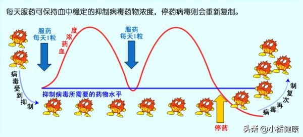 乙肝保肝治疗几天肝功能能恢复,乙肝吃药没效果