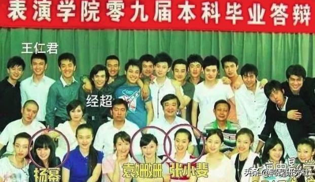 张小斐有票房分红吗,张小斐分红