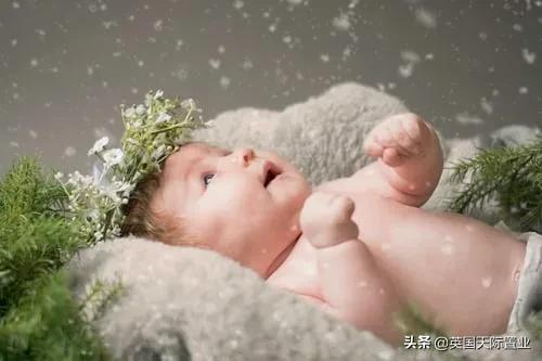 英国生孩子补贴,英国生孩子奖励多少钱