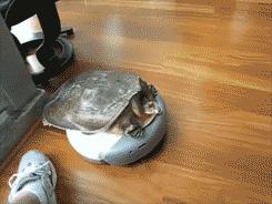 智能扫地机器人好不好主要看什么,智能家用扫地机器人好不好啊