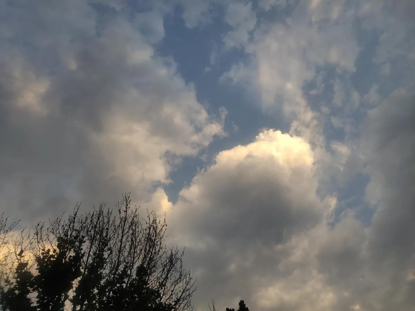 舍得二字看似简单实用,如何看待舍得二字