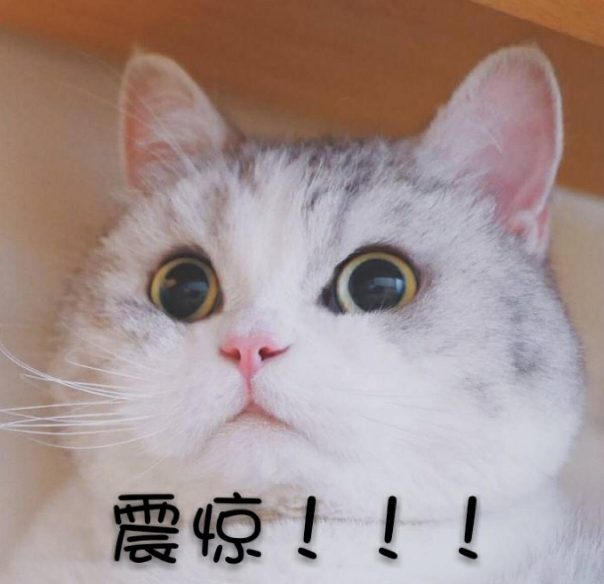 赵薇情深深雨蒙蒙重聚,情深深雨蒙蒙演员今昔对比赵薇