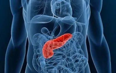 糖尿病血糖13饮食怎么注意,糖尿病靠减肥与饮食能控制血糖吗