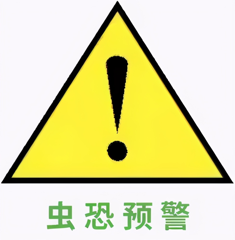 这种小虫有多危险?达尔文也被它咬过,得了终生未治的疾病