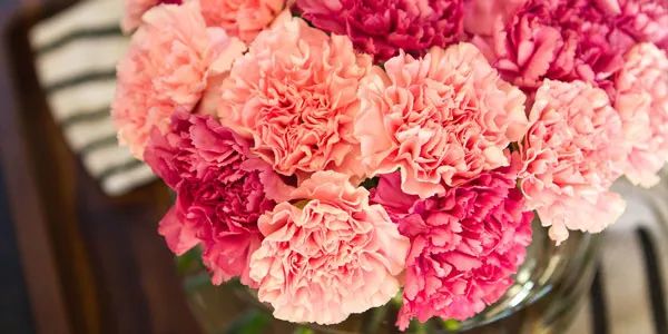 关于花的英文名昵称,关于花的女生英文名有寓意