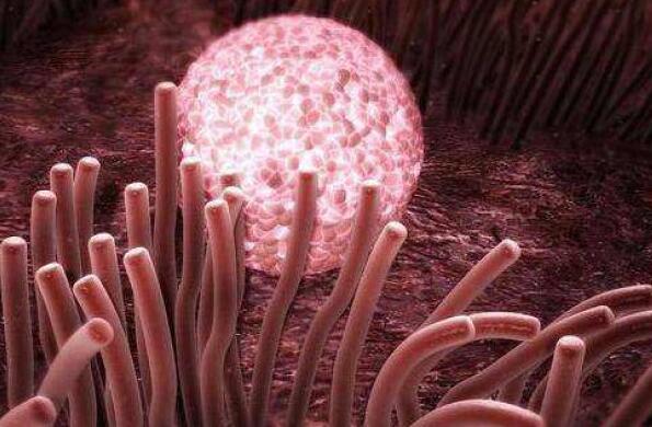 第三代试管婴儿究竟有什么不一样,第三代试管婴儿技术是怎样的