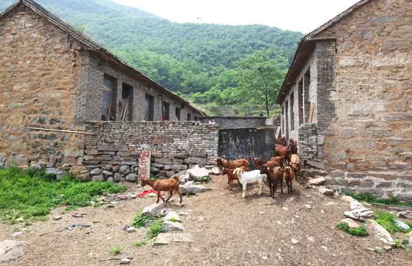 门口有横路子孙贵且富什么意思,门口有横路子孙多富贵传说