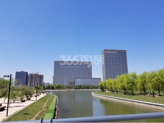 以后浑南跟沈北哪个更有发展呢,沈北和浑南哪个房价高