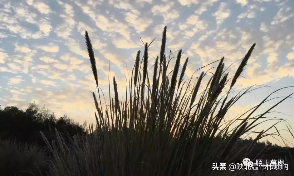 李志龙┃无法忘却的那些年月