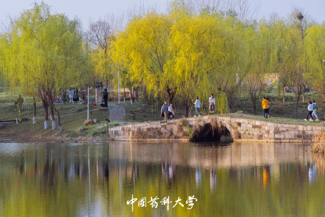 南京“最美”大学之一:占地2100余亩,走出10位院士,央视频频关注!