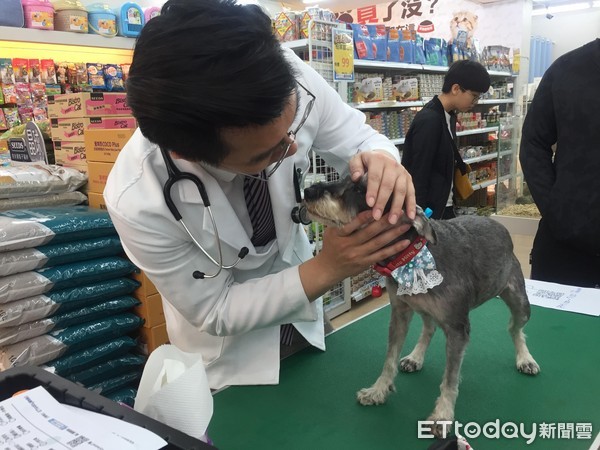 汪等待健检皮皮挫！　她养柴6年才知毛孩牙结石
