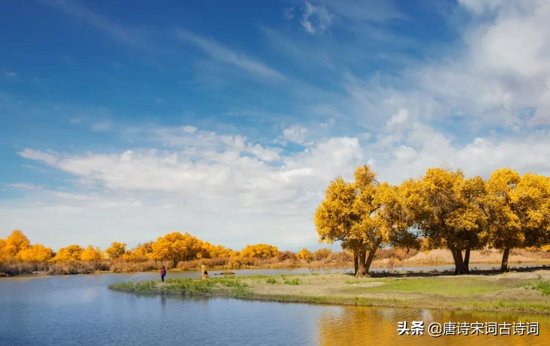 许你一个最美的金秋,许你一个诗意的四季