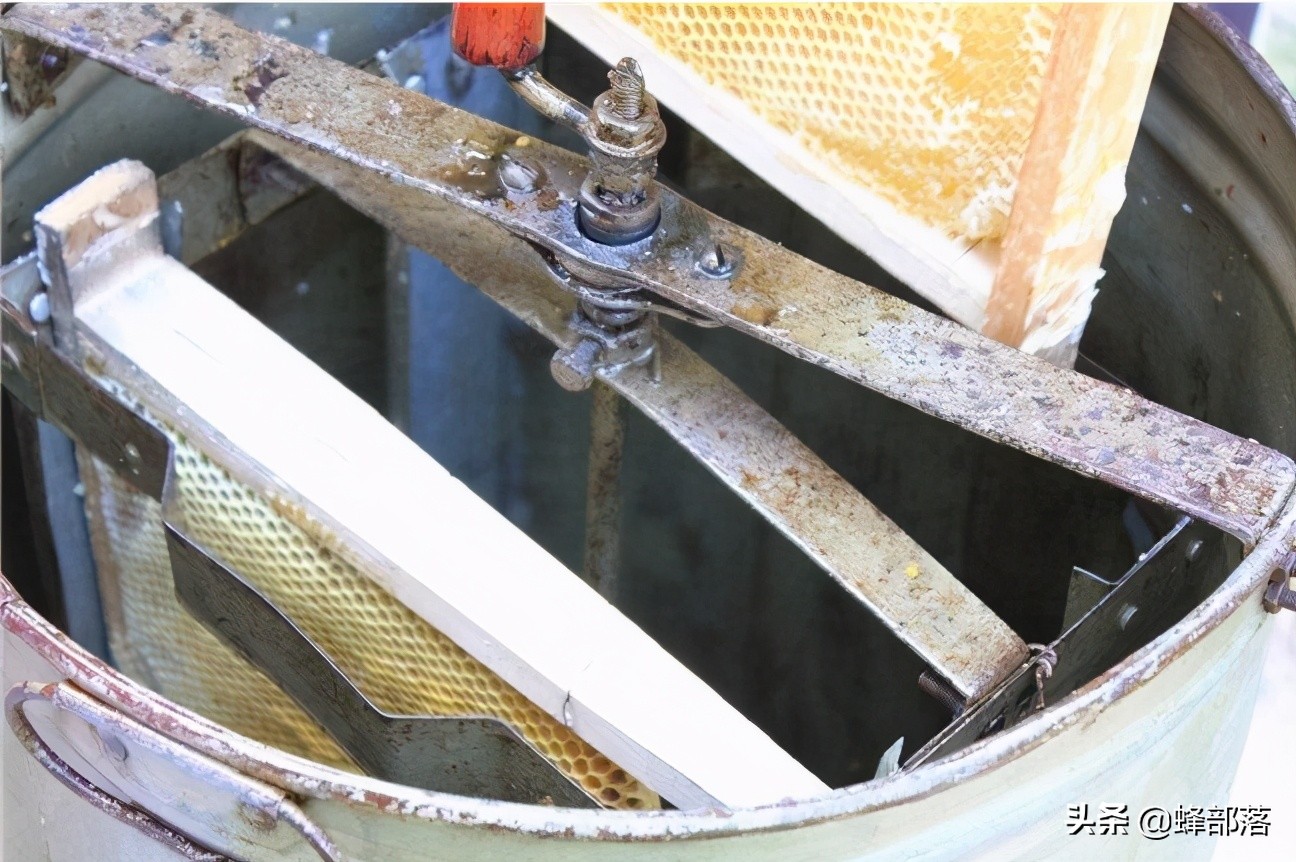 3元一斤的蜂蜜,一斤蜂蜜50元