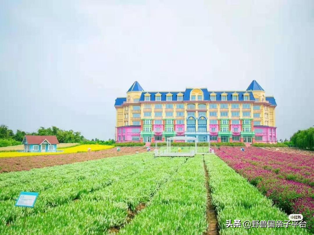 广州遛娃出游,广州遛娃3-4天攻略