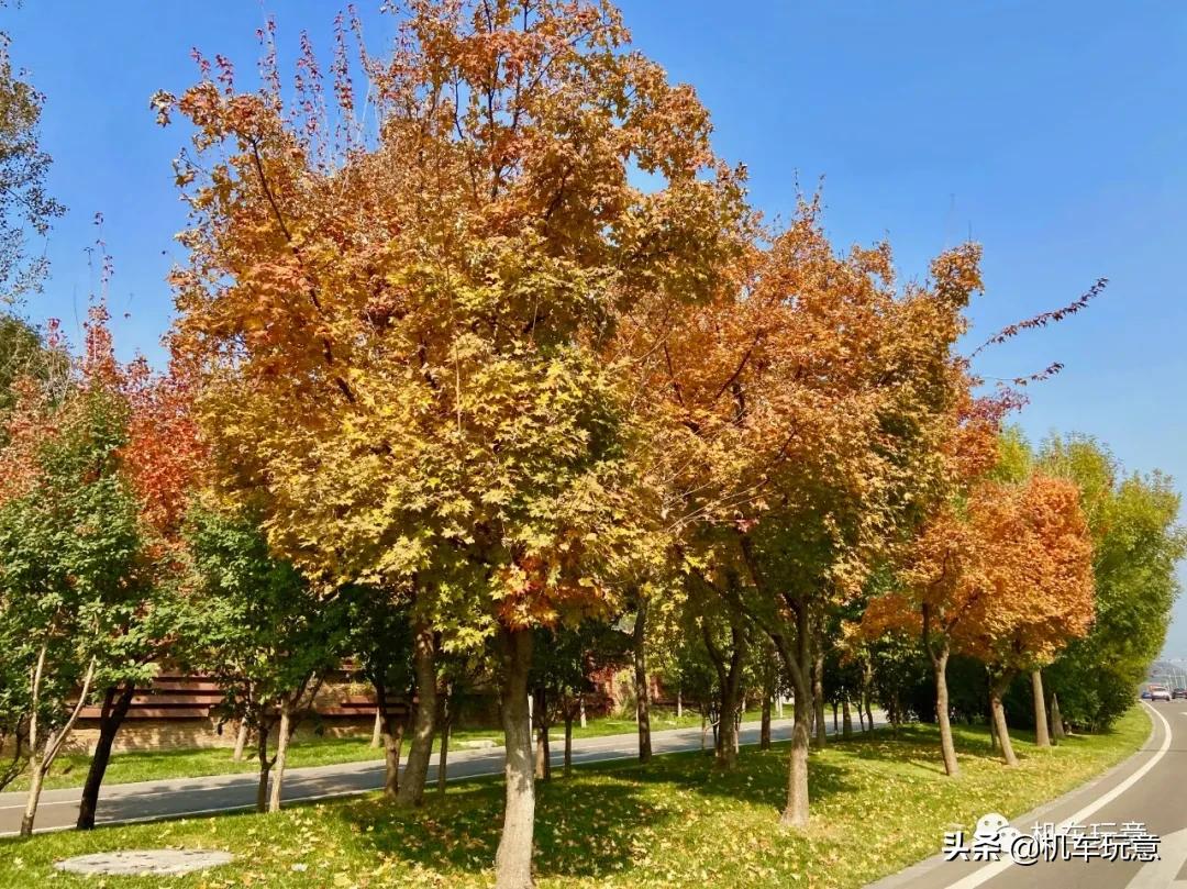 (文字版)「帝都经典跑山路线」岁与今朝似网红,车友江湖范崎路