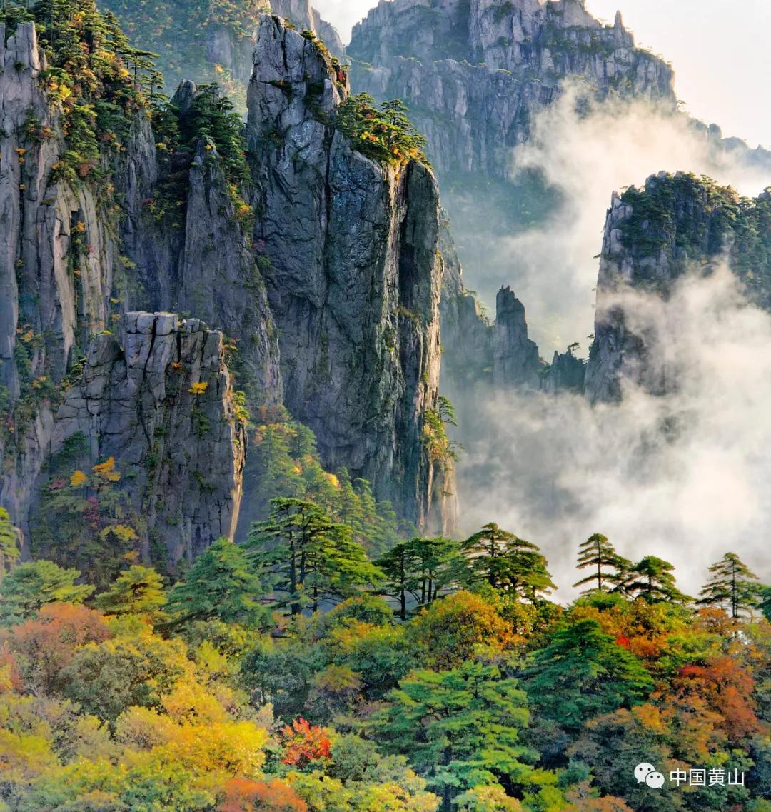 榛勫北绉嬪ぉ鎵撳崱,榛勫北绉嬪啲鎽勫奖澶ц禌