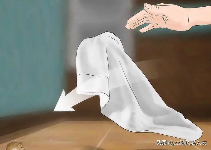 驱逐老鼠最好的办法,怎么样驱逐家里的老鼠