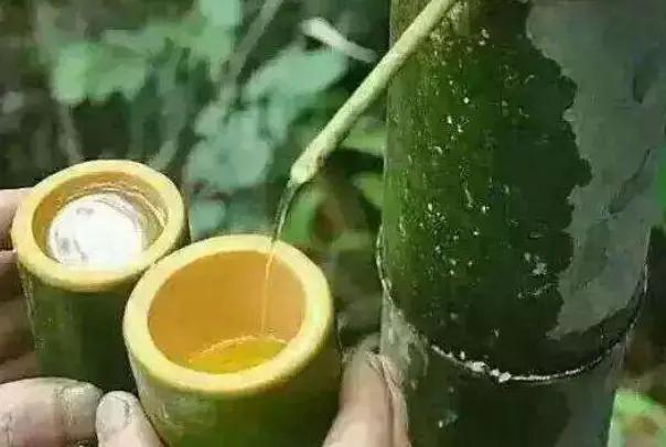 鏇剧粡寰堢伀鐨勭绛掗厭,褰撳勾鐏垎鐨勭绛掗厭