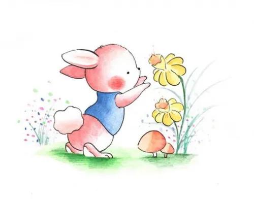 大鹏学习教育靠谱吗,大鹏教育怎样发展