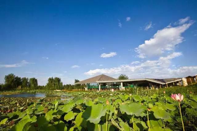 等疫情结束了一定要去西安看看,等疫情结束了一定要去趟西安